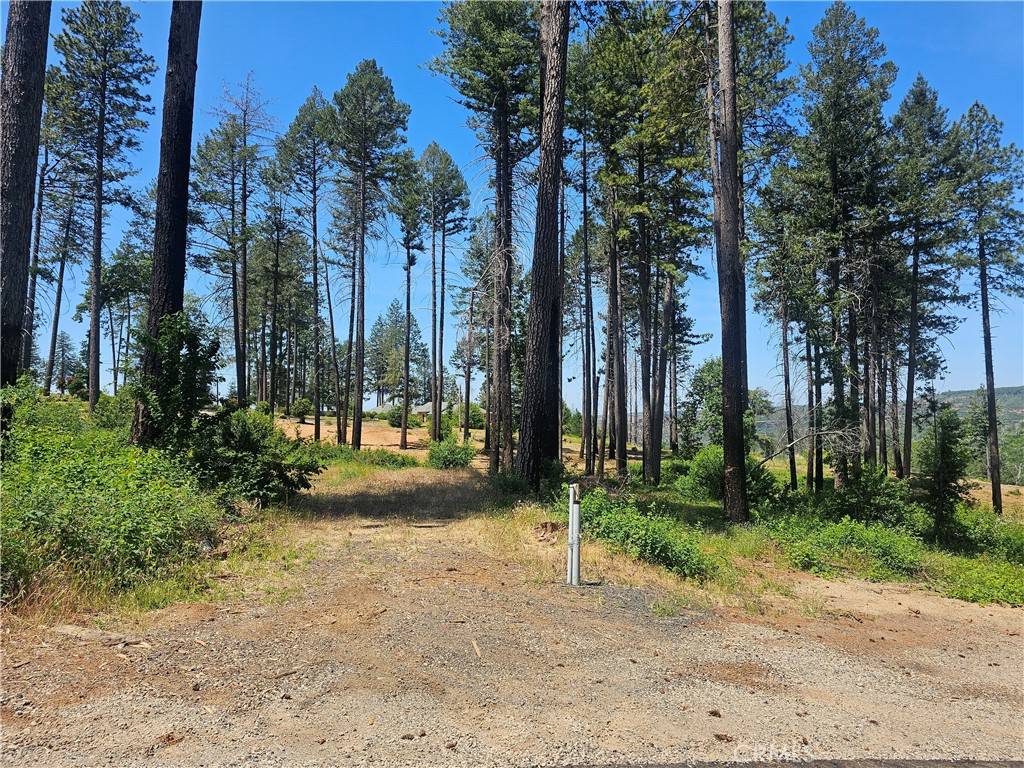 Paradise, CA 95969,6649 Lincoln DR