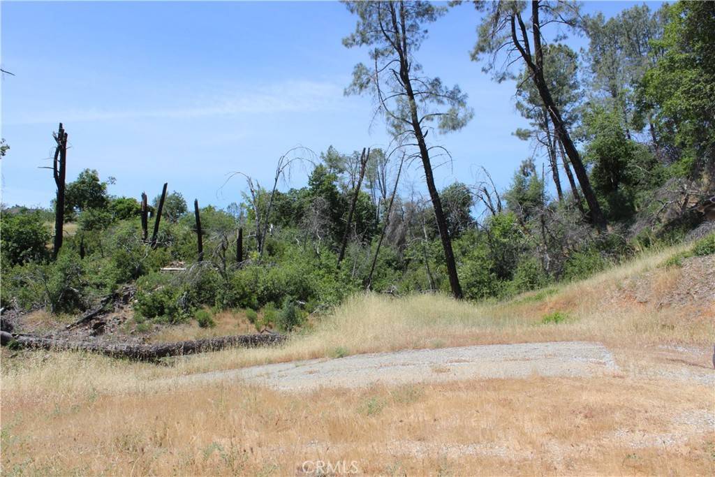 Redding, CA 96001,10255 Carrousel DR