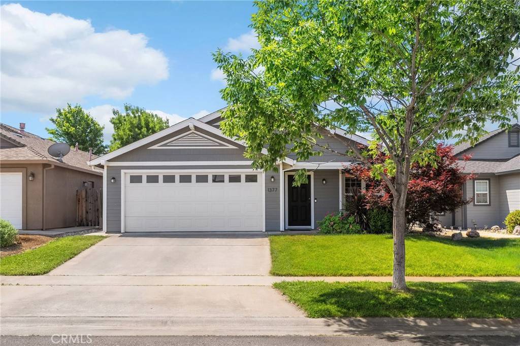 Chico, CA 95973,1377 Lucy Way