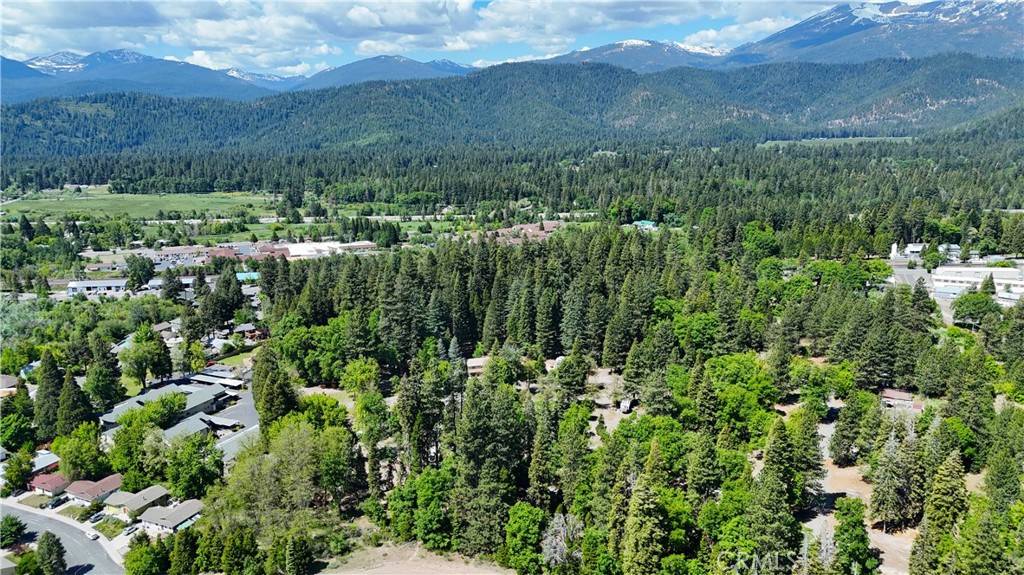 Mount Shasta, CA 96097,0 Shasta Ave.