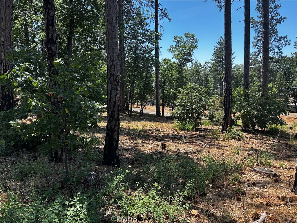 Paradise, CA 95969,6272 Berkshire