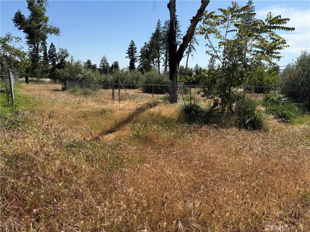 Paradise, CA 95969,1438 Toni DR