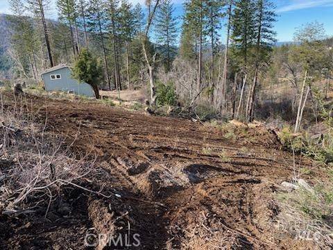 Cobb, CA 95426,11424 Pine Summit CT