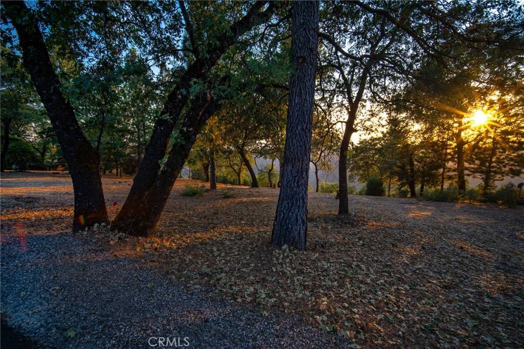 Forest Ranch, CA 95942,0 Woodland Park DR