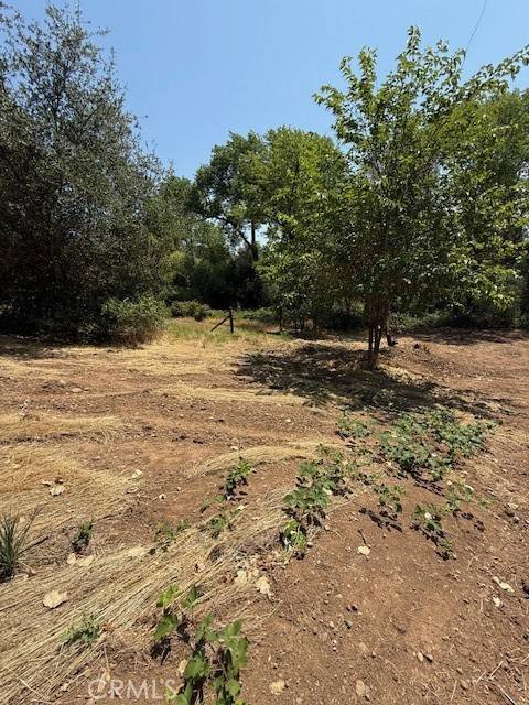 Oroville, CA 95966,2673 Foothill BLVD