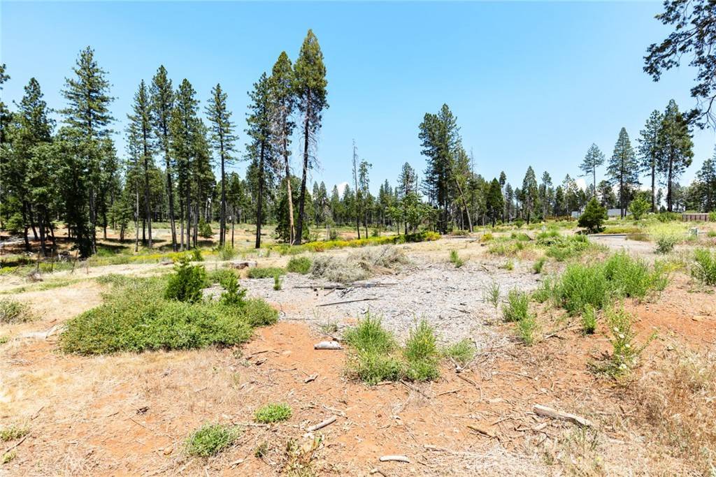 Magalia, CA 95954,13771 Finch CT