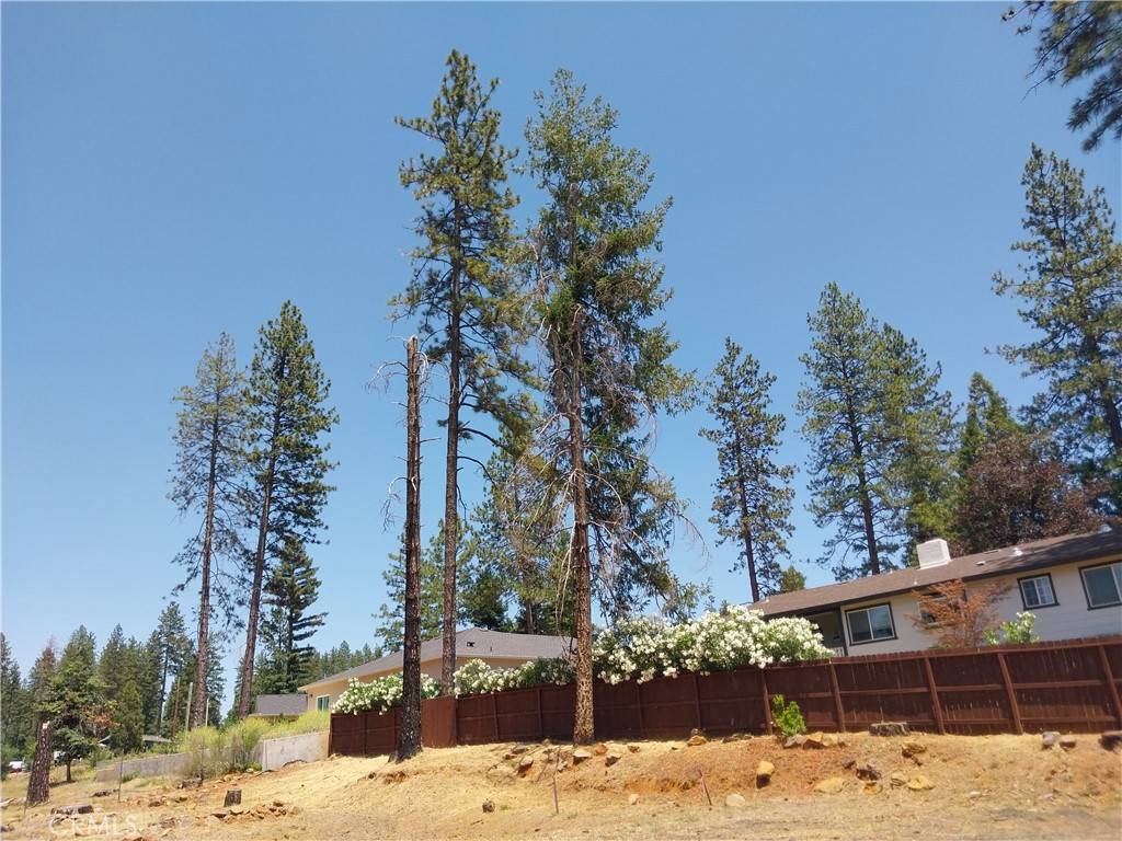Paradise, CA 95969,1667 Wagstaff RD