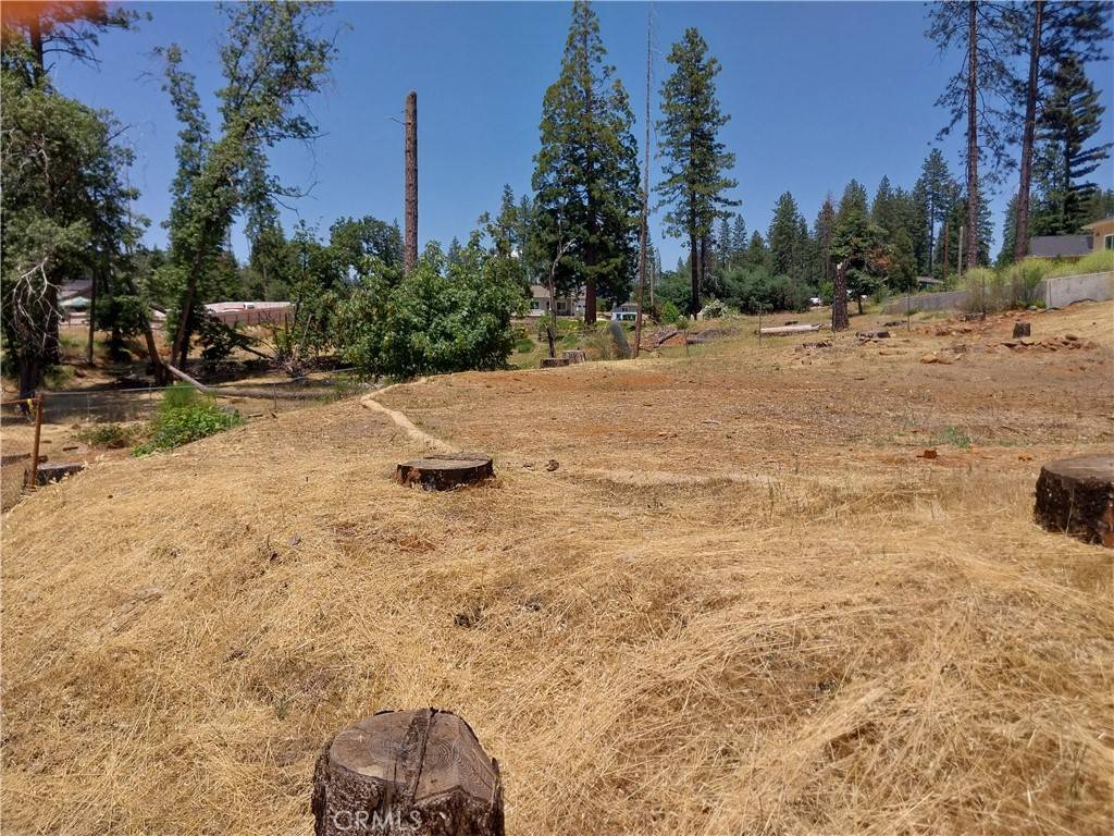 Paradise, CA 95969,1667 Wagstaff RD