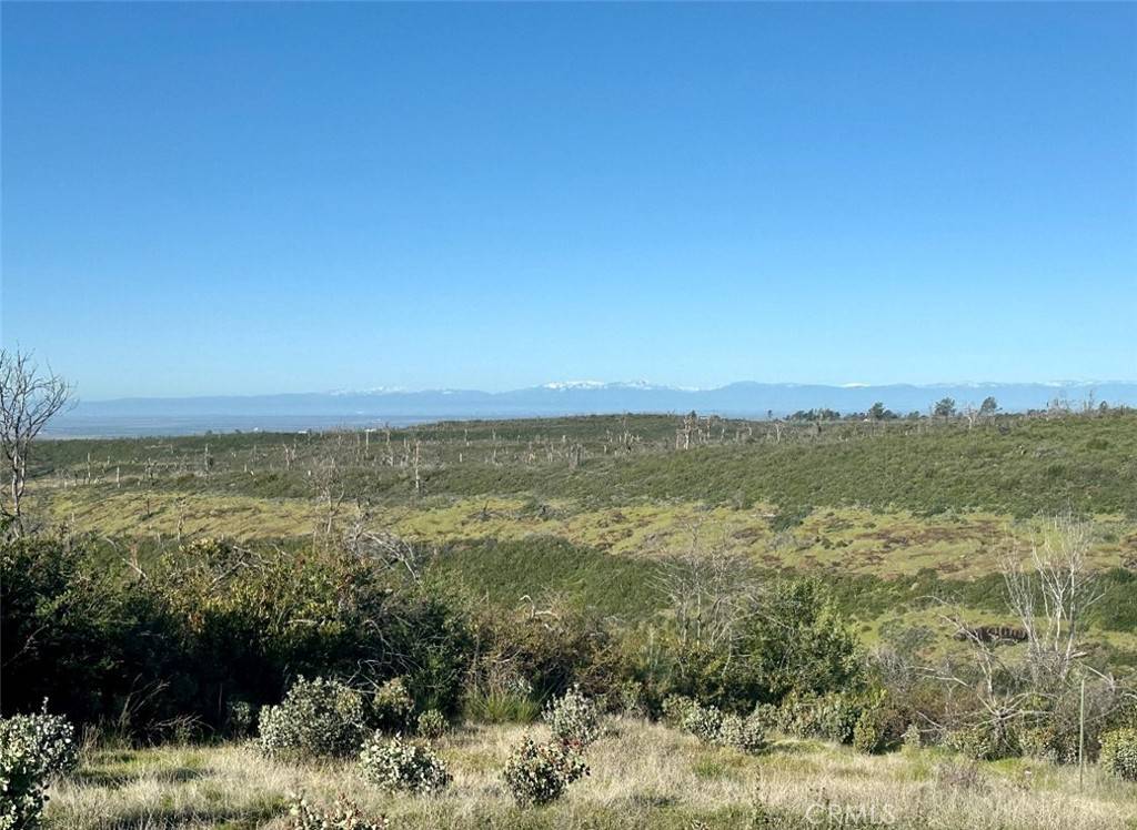 Paradise, CA 95969,4919 Pentz RD