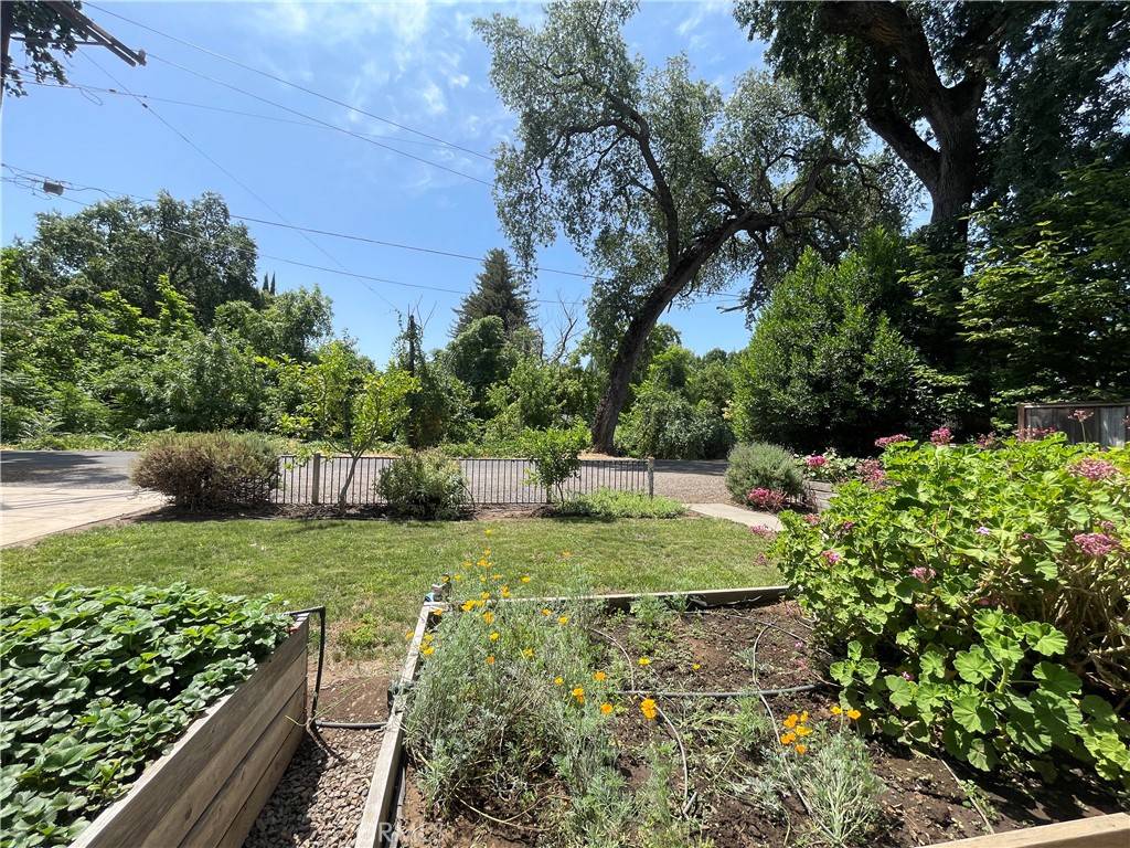 Chico, CA 95926,1220 Bidwell AVE