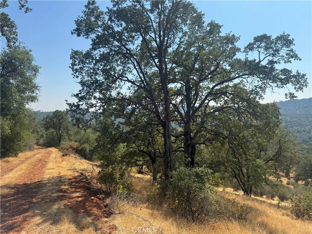 Oroville, CA 95965,0 Oregon City Tr