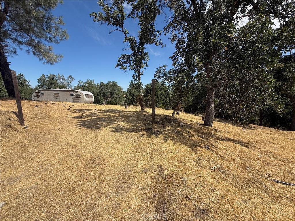 Corning, CA 96021,16318 Longhorn LN