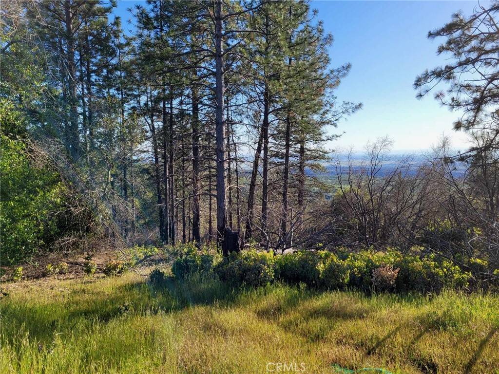 Oroville, CA 95965,3512 Skycrest DR