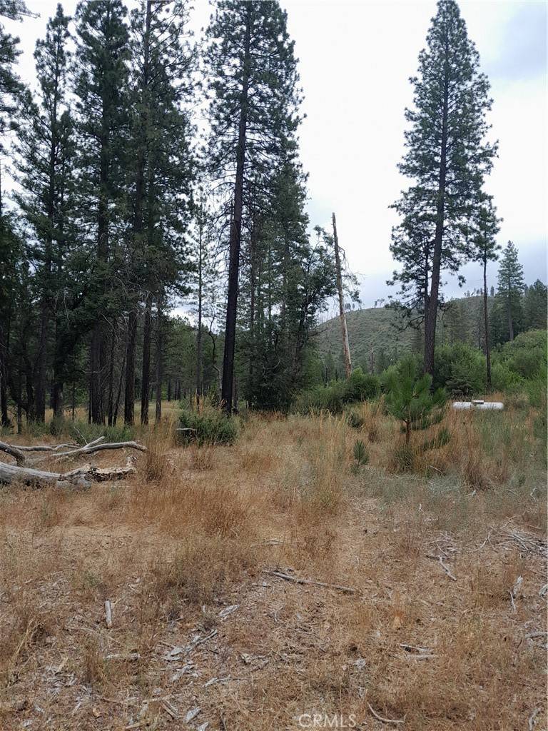 Oroville, CA 95965,3979 Yellow Wood RD