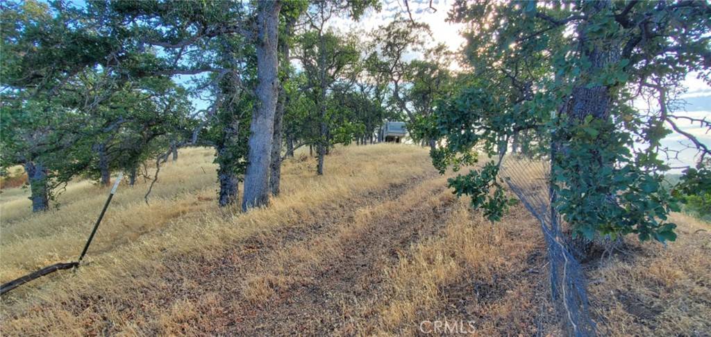 Corning, CA 96021,6915 Remunda RD