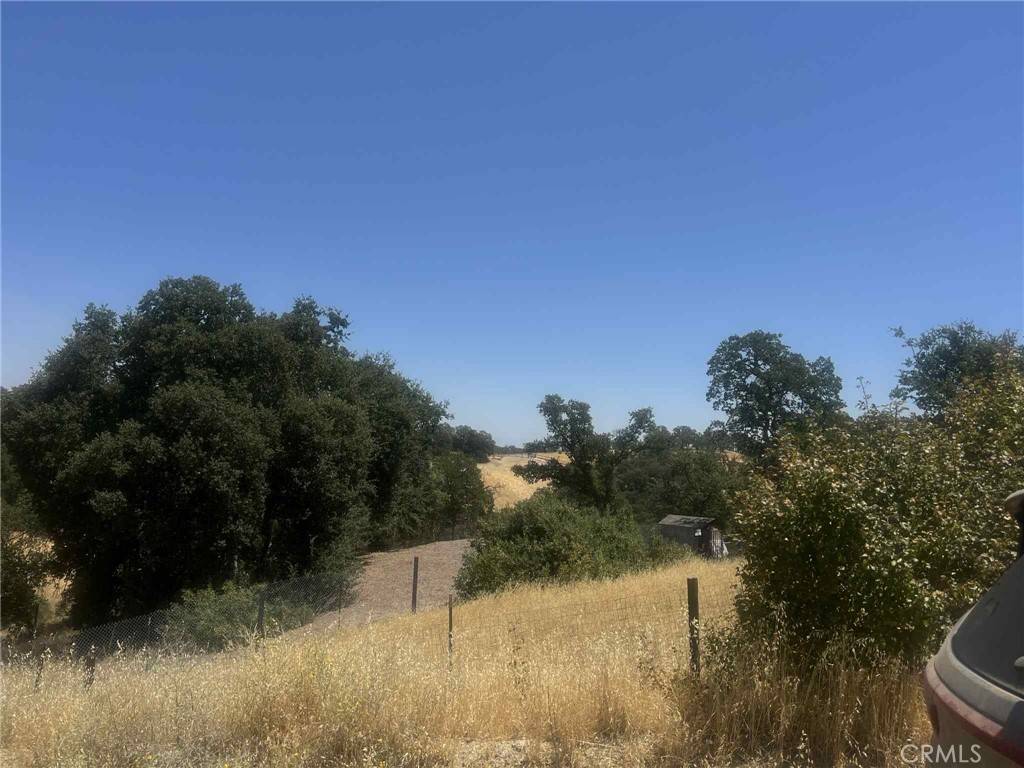 Corning, CA 96021,6915 Remunda RD