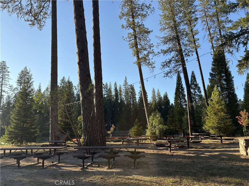 Berry Creek, CA 95916,100 Meadow LN