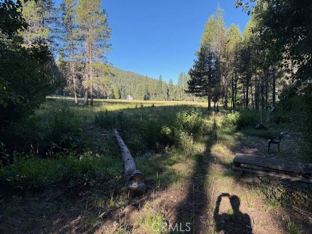Jonesville, CA 95942,9002 Humboldt RD