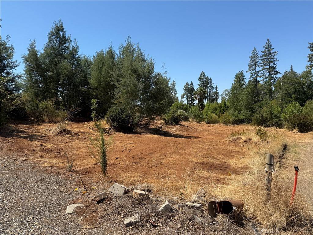 Paradise, CA 95969,5485 Foster RD