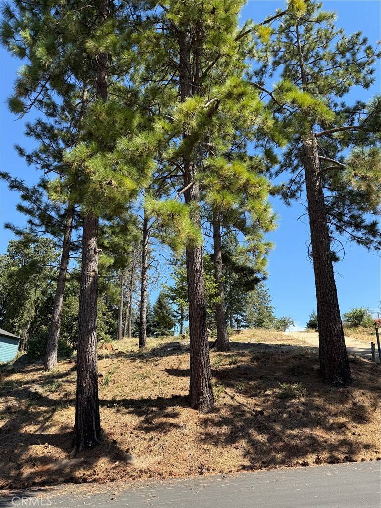Paradise, CA 95969,8397 Montna DR