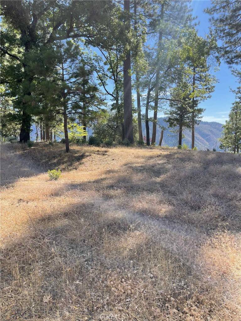 Oroville, CA 95965,12269 Andy Mountain RD