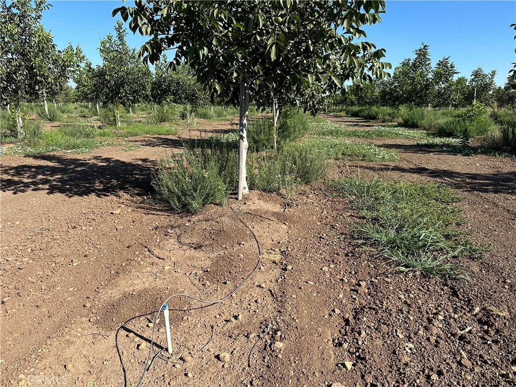 Chico, CA 95973,0 Kelly LN W