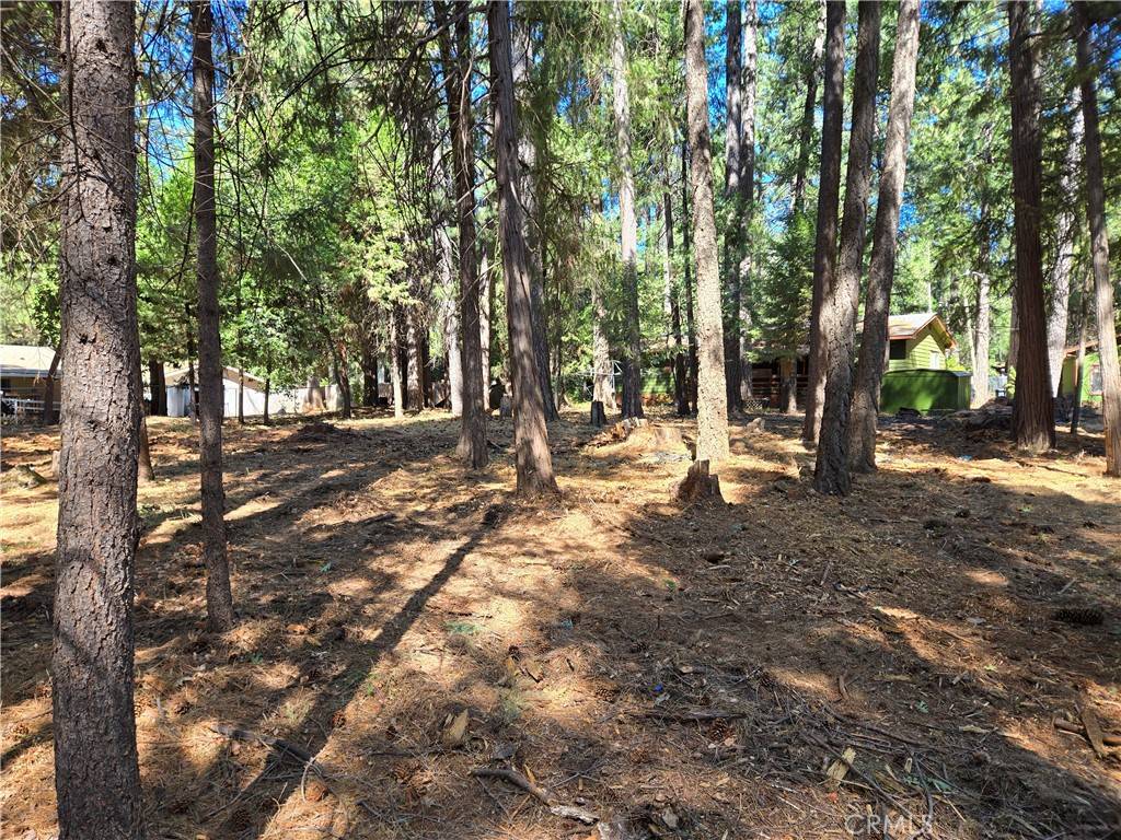 Magalia, CA 95954,0 Tikker Ln