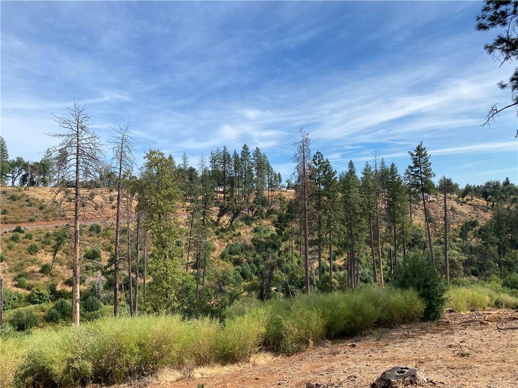 Paradise, CA 95969,0 Stearns RD