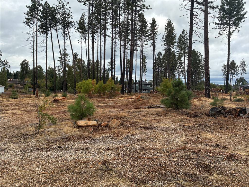 Paradise, CA 95969,1439 Powell LN