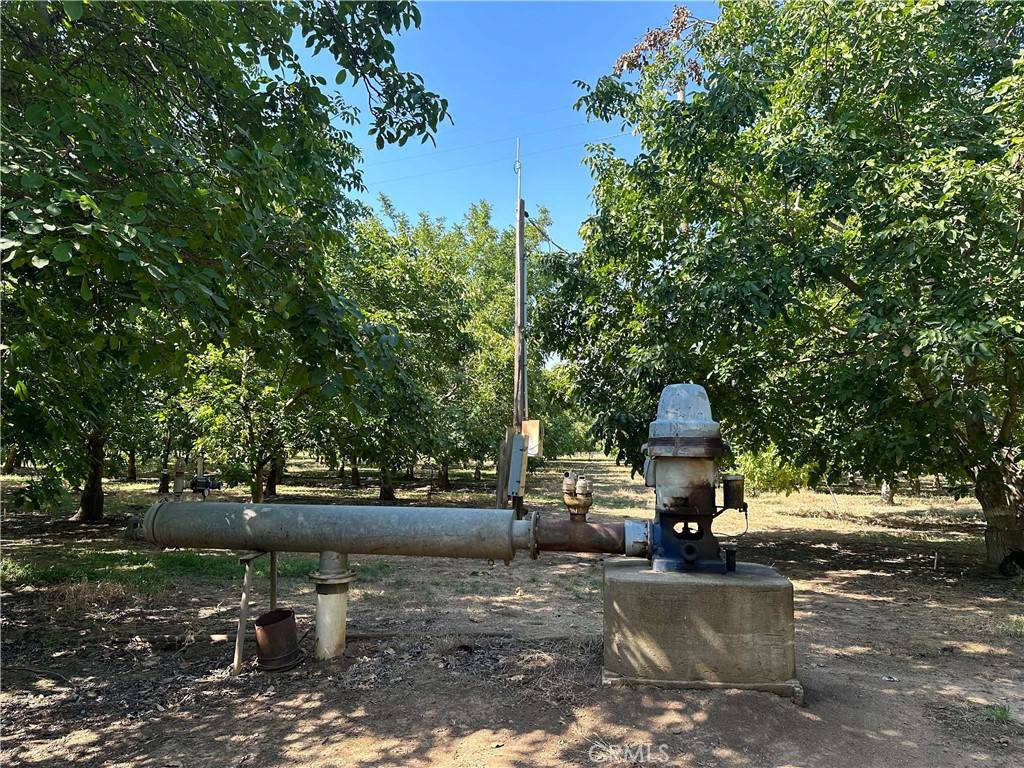 Los Molinos, CA 96055,25040 63rd AVE