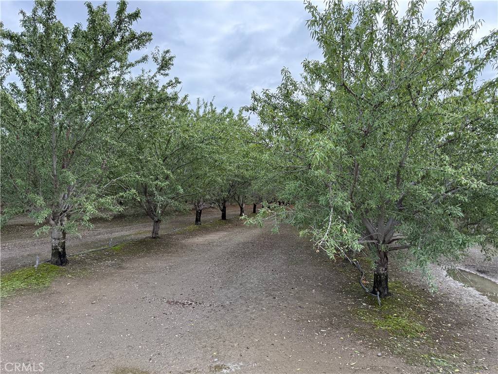 Orland, CA 95963,0 Road M