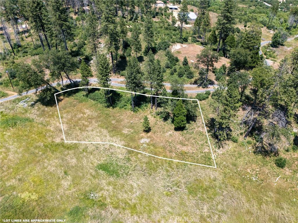 Concow, CA 95965,100 Windermere LN