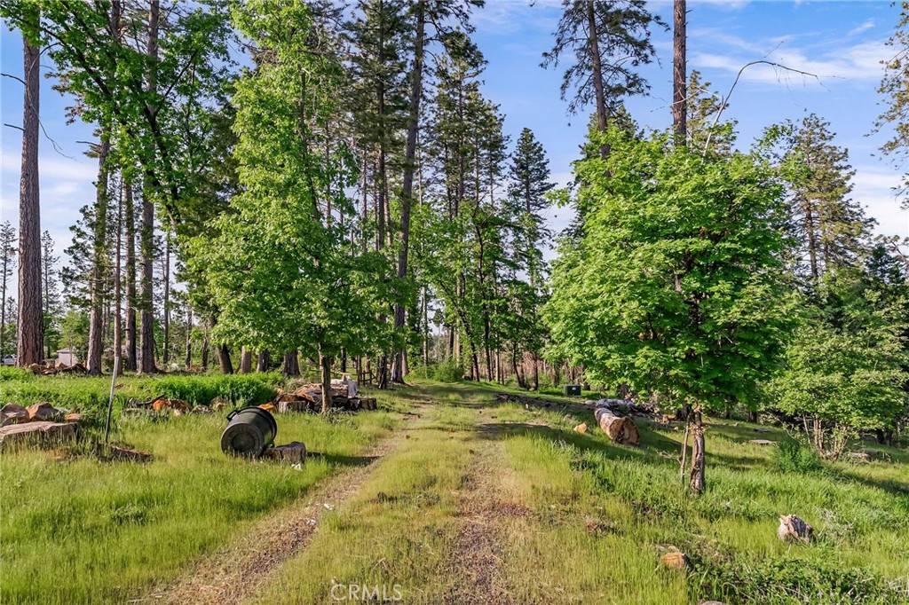 Paradise, CA 95969,1694 Ryan RD