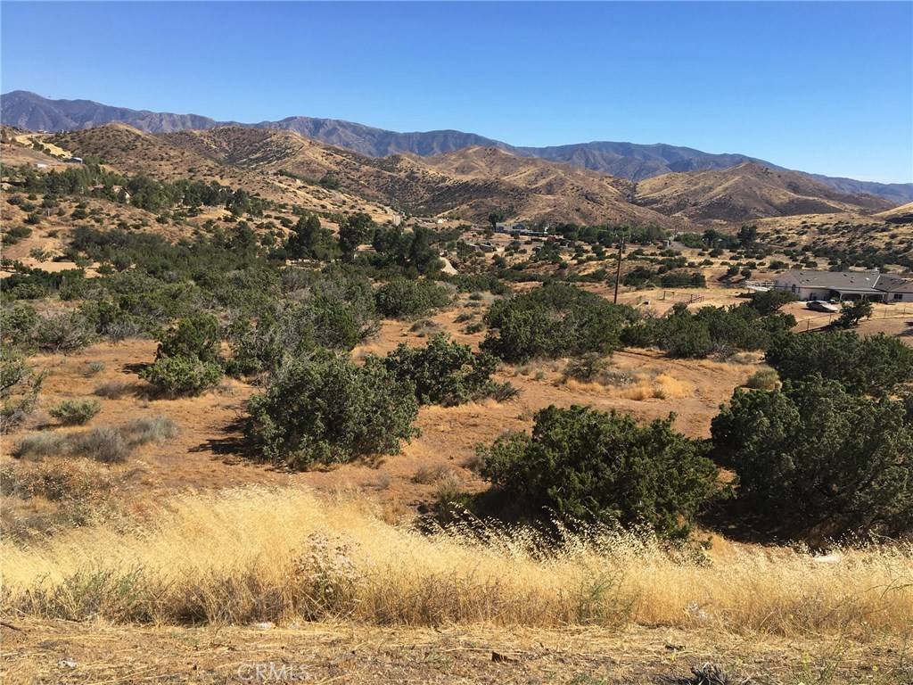 Agua Dulce, CA 91350,0 Vac/Escondido Canyon Rd/Bigspr