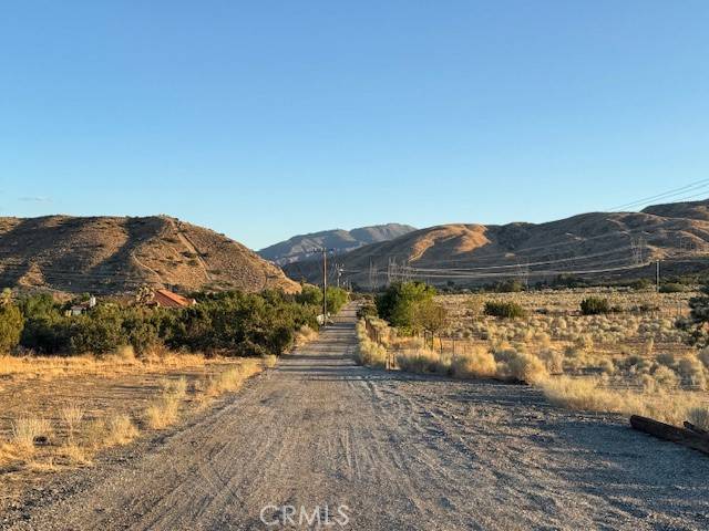 Littlerock, CA 93543,1 Barrel Springs & Emden Rd