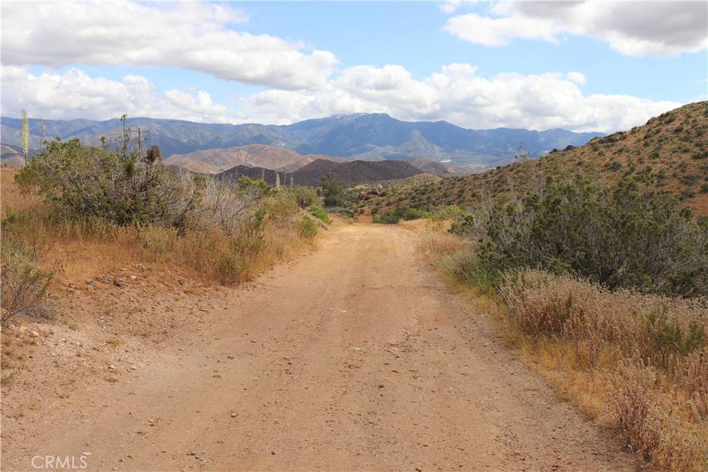 Acton, CA 93510,0 Vac/Cor Mountain Spring/Carrol