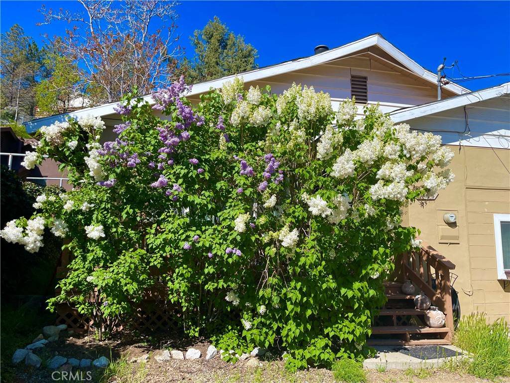 Frazier Park, CA 93225,425 E East End DR