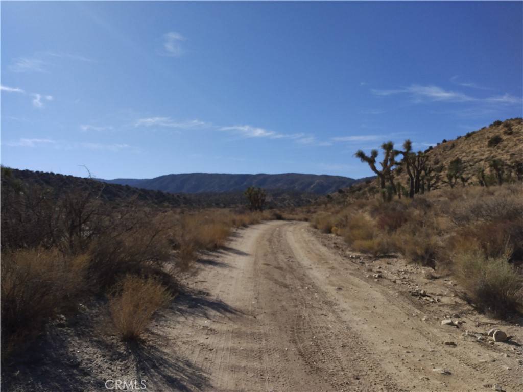 Llano, CA 93544,0 213th Street East