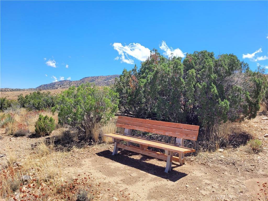 Llano, CA 93544,0 Turkey Ranch Rd / 197th St E