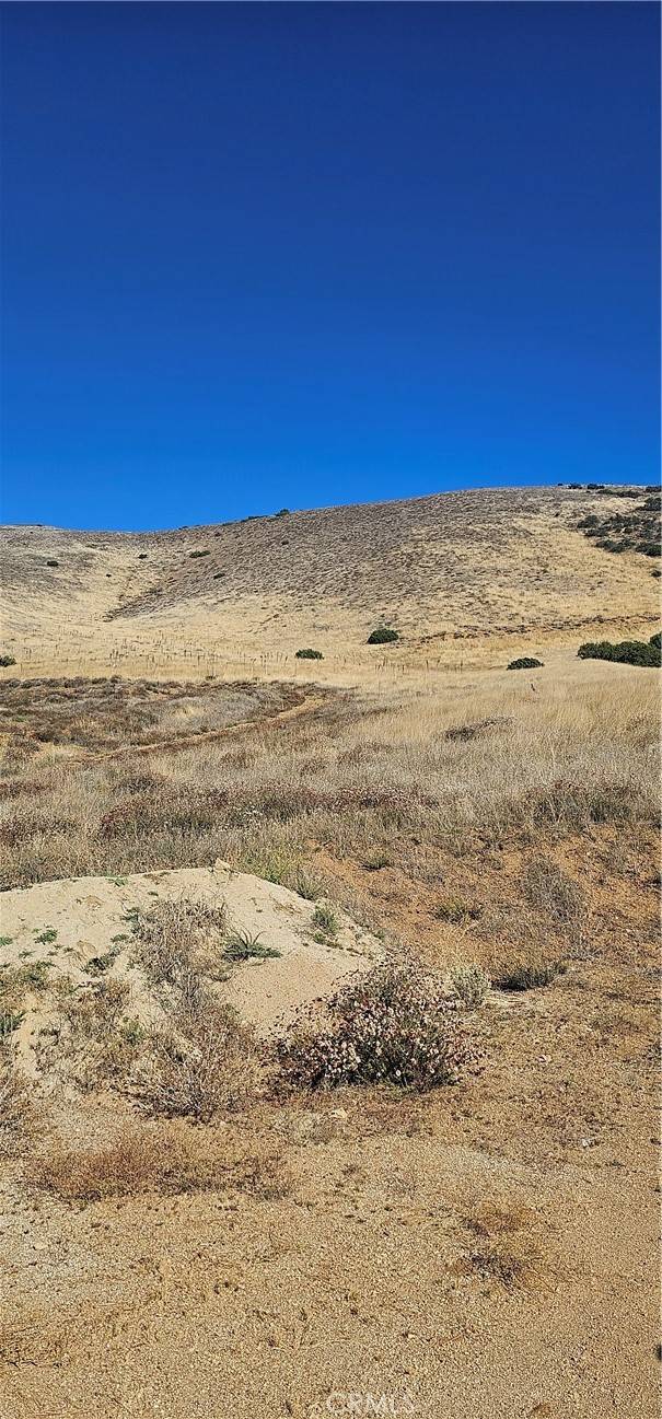 Acton, CA 93510,0 31st Street West/Shannon Valley RD