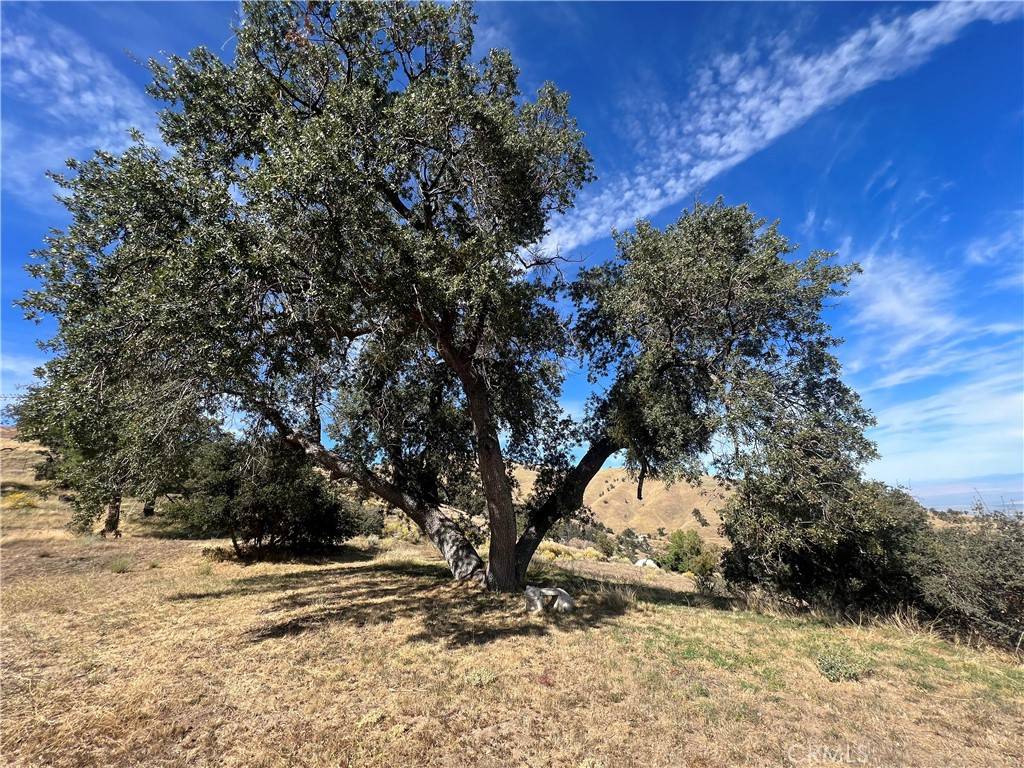 Lebec, CA 93243,0 Digier RD