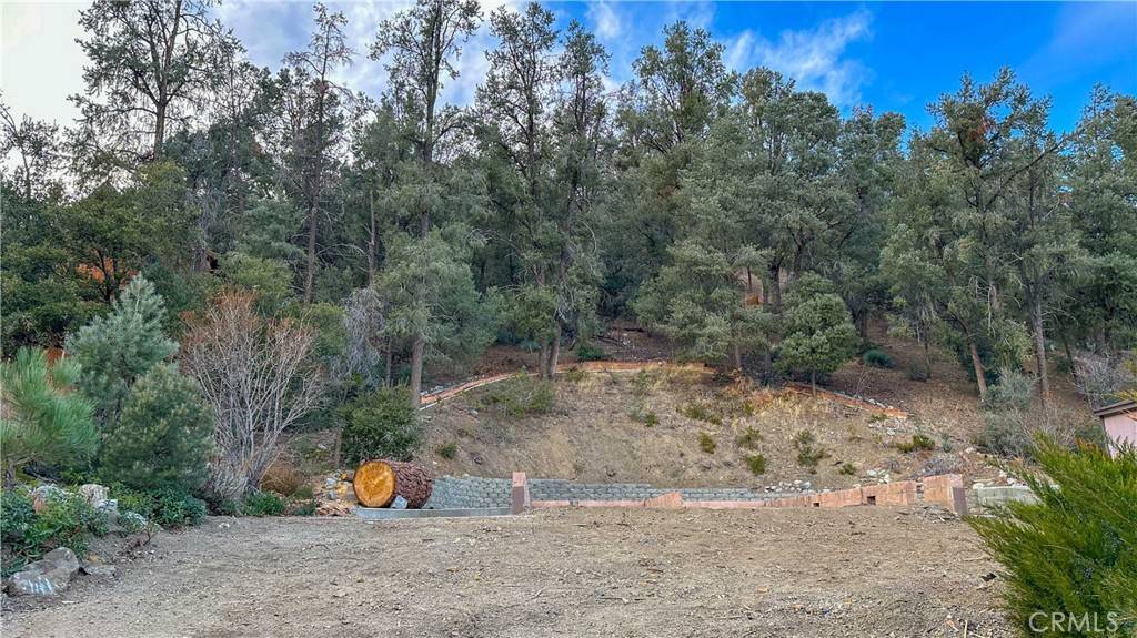 Pine Mountain Club, CA 93222,2221 Symonds