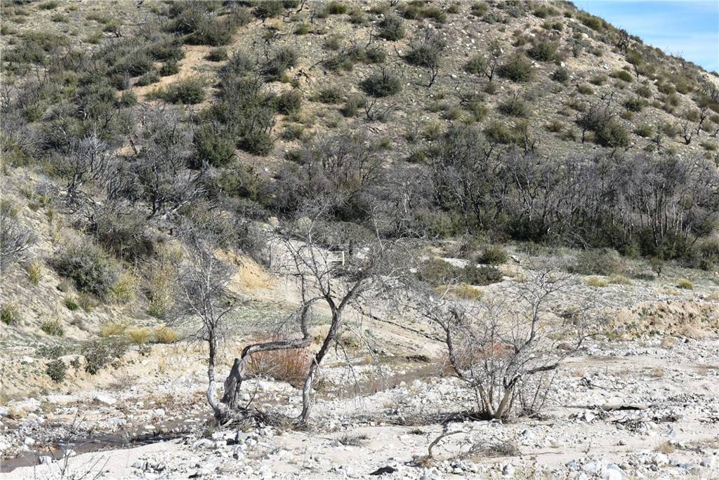 Lake Hughes, CA 93532,20811 Pine Canyon RD