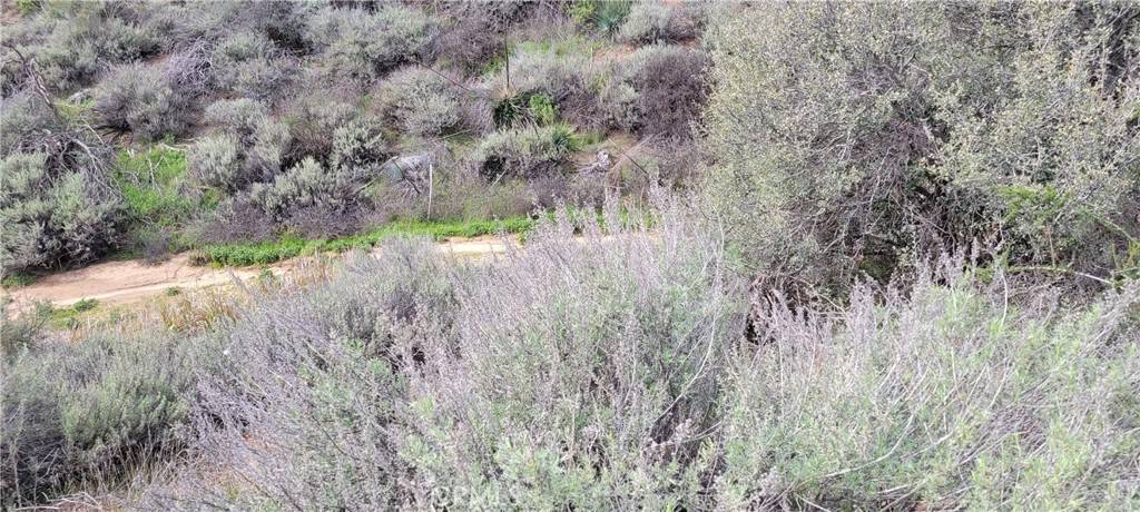 Agua Dulce, CA 91350,0 Vac/Vic Woolsey Rd/Chickadee CT