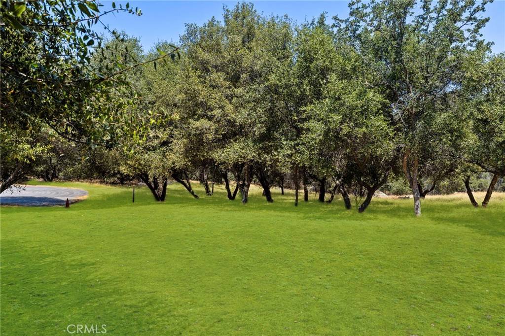 Keene, CA 93531,1 Kirkham CT