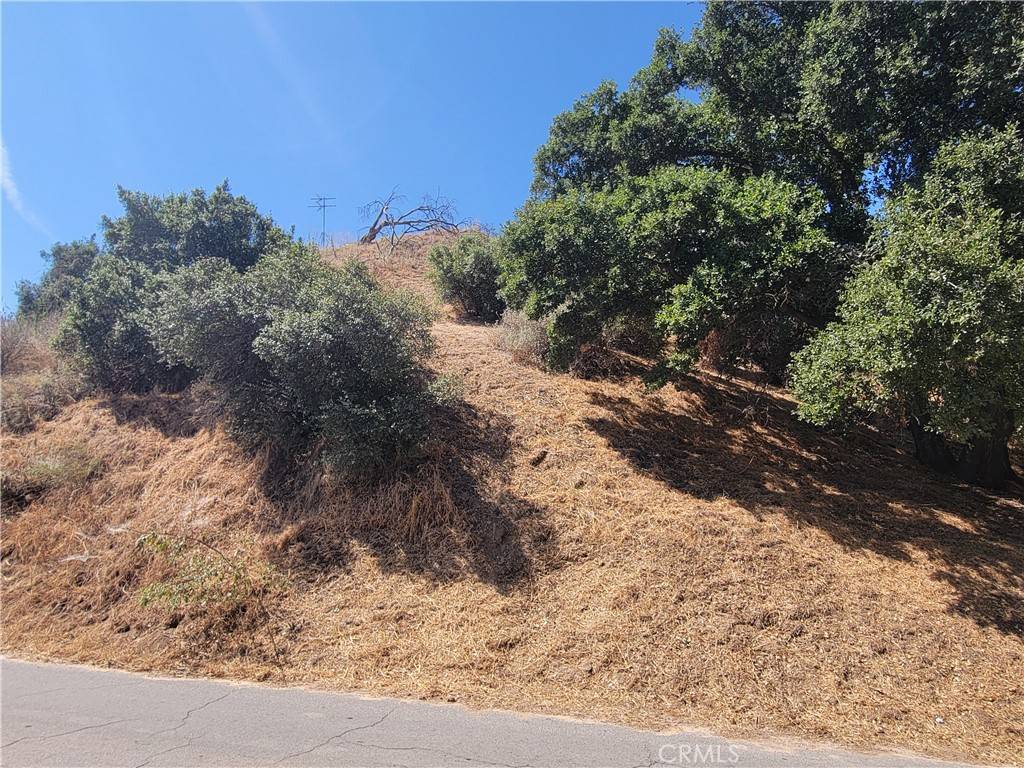 Castaic, CA 91384,0 Hunstock ST