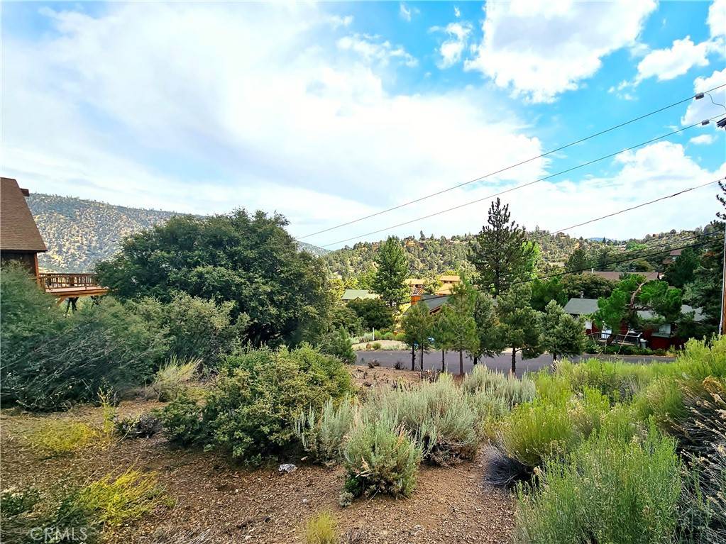 Pine Mountain Club, CA 93222,2005 Pioneer WAY