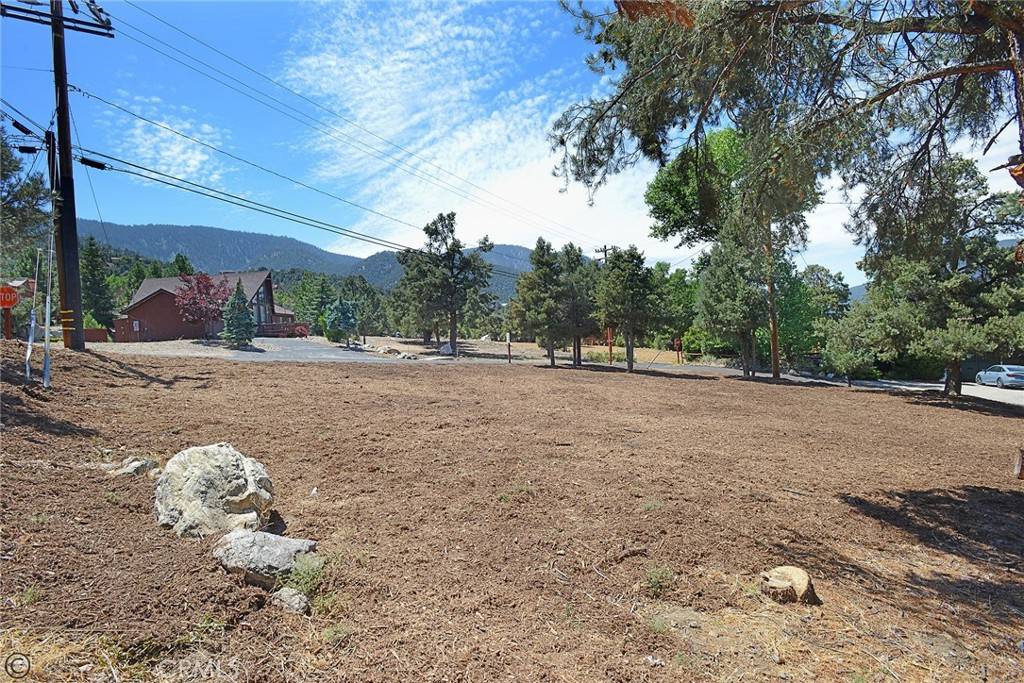 Pine Mountain Club, CA 93222,2029 St Bernard DR