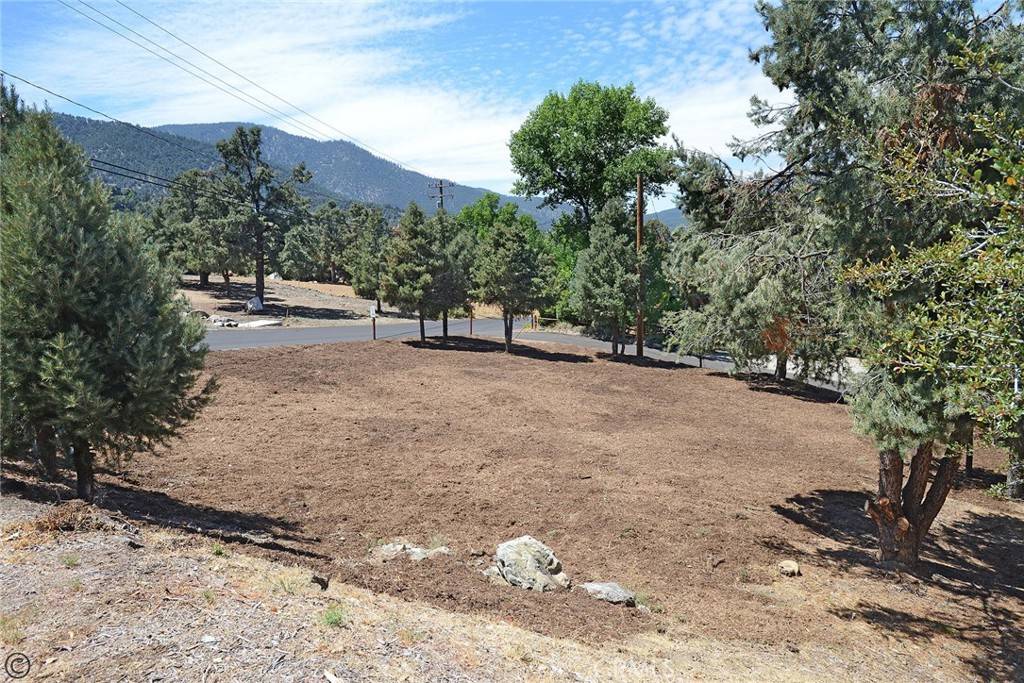Pine Mountain Club, CA 93222,2029 St Bernard DR
