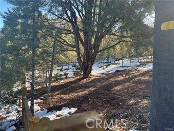 Pine Mountain Club, CA 93222,1604 Linden DR